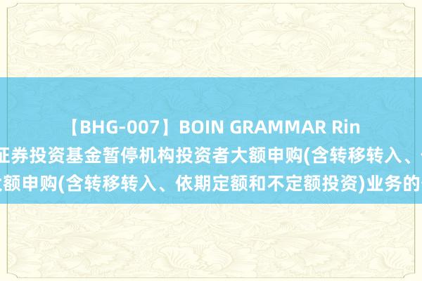 【BHG-007】BOIN GRAMMAR Rina 对于广发各人精选股票型证券投资基金暂停机构投资者大额申购(含转移转入、依期定额和不定额投资)业务的公告