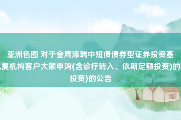 亚洲色图 对于金鹰添瑞中短债债券型证券投资基金规复机构客户大额申购(含诊疗转入、依期定额投资)的公告