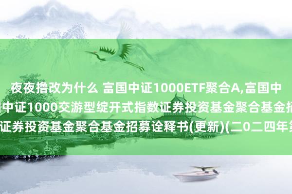 夜夜撸改为什么 富国中证1000ETF聚合A，富国中证1000ETF聚合C: 富国中证1000交游型绽开式指数证券投资基金聚合基金招募诠释书(更新)(二0二四年第一号)