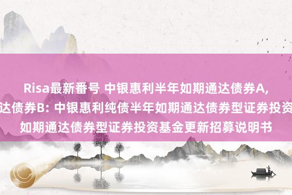 Risa最新番号 中银惠利半年如期通达债券A，中银惠利半年如期通达债券B: 中银惠利纯债半年如期通达债券型证券投资基金更新招募说明书