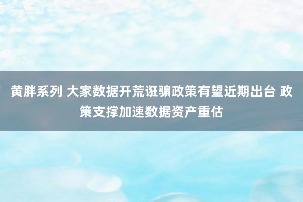 黄胖系列 大家数据开荒诳骗政策有望近期出台 政策支撑加速数据资产重估