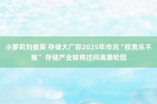 小萝莉刘俊英 存储大厂称2025年市况“权贵乐不雅” 存储产业链将过问高潮轮回