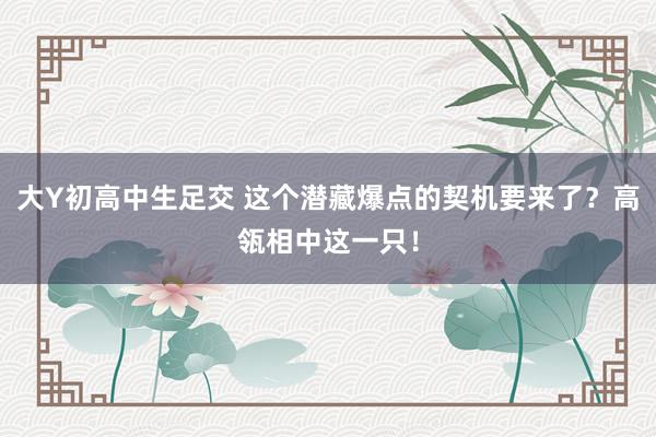 大Y初高中生足交 这个潜藏爆点的契机要来了？高瓴相中这一只！