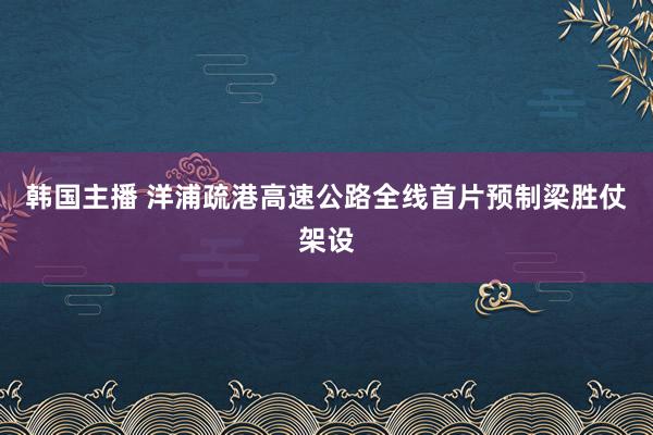 韩国主播 洋浦疏港高速公路全线首片预制梁胜仗架设