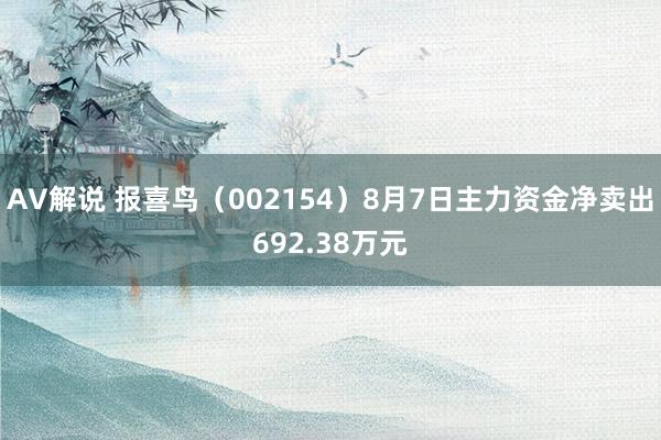 AV解说 报喜鸟（002154）8月7日主力资金净卖出692.38万元