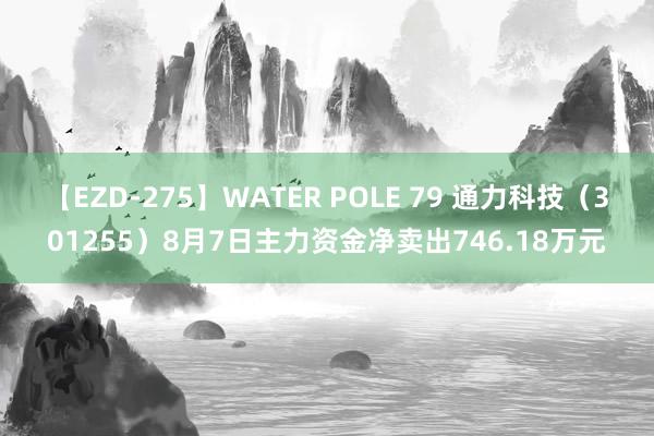 【EZD-275】WATER POLE 79 通力科技（301255）8月7日主力资金净卖出746.18万元