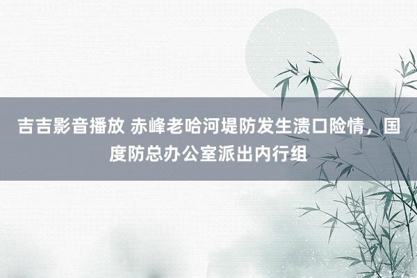 吉吉影音播放 赤峰老哈河堤防发生溃口险情，国度防总办公室派出内行组