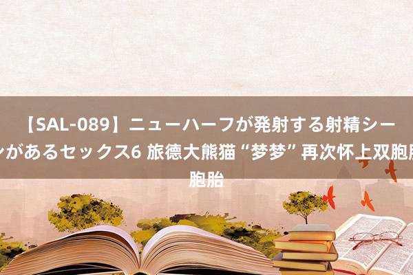 【SAL-089】ニューハーフが発射する射精シーンがあるセックス6 旅德大熊猫“梦梦”再次怀上双胞胎