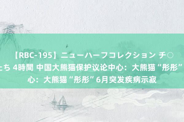 【RBC-195】ニューハーフコレクション チ○ポの生えた乙女たち 4時間 中国大熊猫保护议论中心：大熊猫“彤彤”6月突发疾病示寂