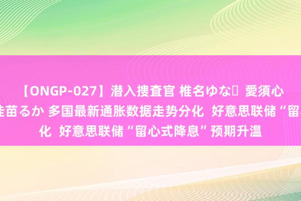 【ONGP-027】潜入捜査官 椎名ゆな・愛須心亜・紺野ひかる・佳苗るか 多国最新通胀数据走势分化  好意思联储“留心式降息”预期升温