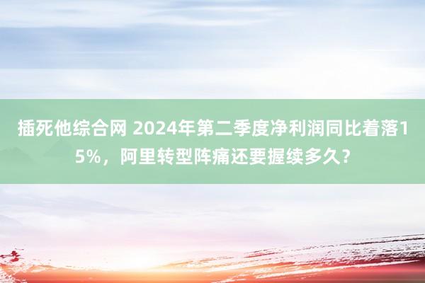 插死他综合网 2024年第二季度净利润同比着落15%，阿里转型阵痛还要握续多久？