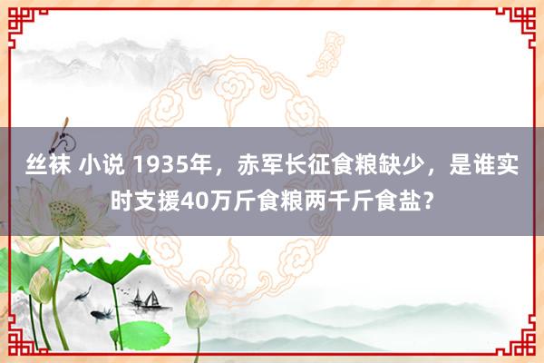 丝袜 小说 1935年，赤军长征食粮缺少，是谁实时支援40万斤食粮两千斤食盐？