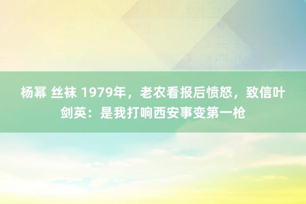 杨幂 丝袜 1979年，老农看报后愤怒，致信叶剑英：是我打响西安事变第一枪