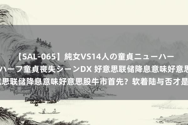 【SAL-065】純女VS14人の童貞ニューハーフ 二度と見れないニューハーフ童貞喪失シーンDX 好意思联储降息意味好意思股牛市首先？软着陆与否才是要津