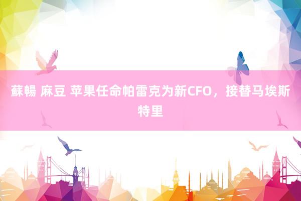 蘇暢 麻豆 苹果任命帕雷克为新CFO，接替马埃斯特里