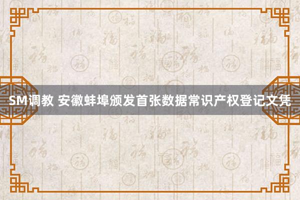 SM调教 安徽蚌埠颁发首张数据常识产权登记文凭