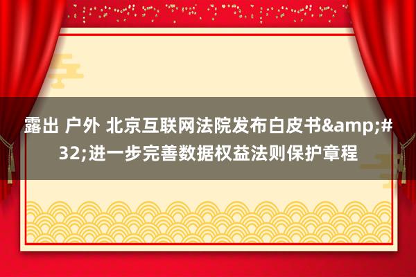 露出 户外 北京互联网法院发布白皮书&#32;进一步完善数据权益法则保护章程