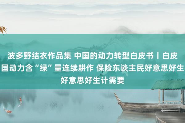 波多野结衣作品集 中国的动力转型白皮书丨白皮书：中国动力含“绿”量连续耕作 保险东谈主民好意思好生计需要