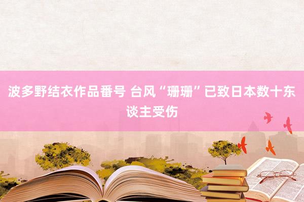 波多野结衣作品番号 台风“珊珊”已致日本数十东谈主受伤