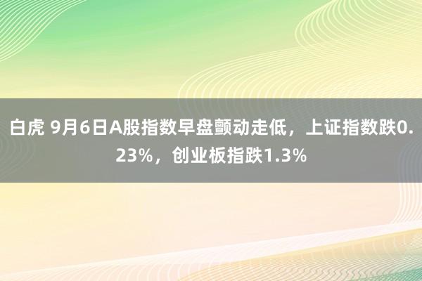 白虎 9月6日A股指数早盘颤动走低，上证指数跌0.23%，创业板指跌1.3%