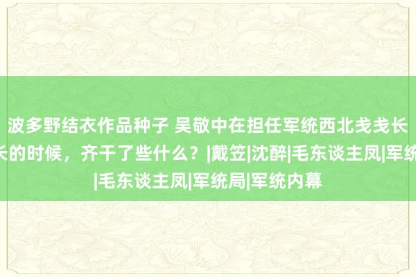 波多野结衣作品种子 吴敬中在担任军统西北戋戋长、东北戋戋长的时候，齐干了些什么？|戴笠|沈醉|毛东谈主凤|军统局|军统内幕