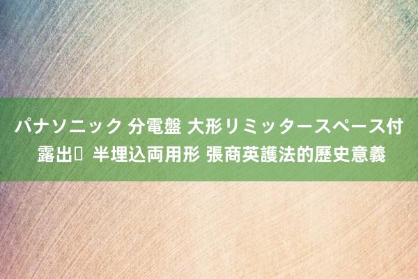 パナソニック 分電盤 大形リミッタースペース付 露出・半埋込両用形 張商英護法的歷史意義