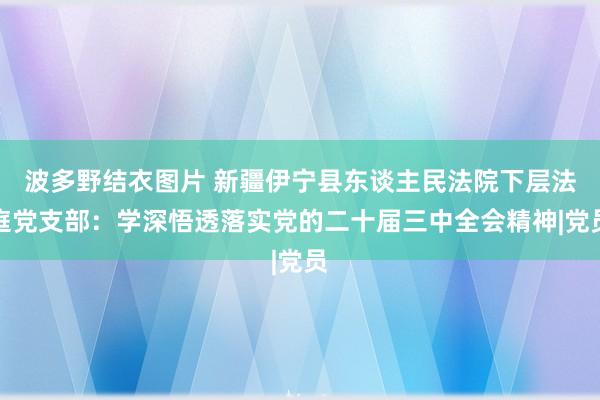 波多野结衣图片 新疆伊宁县东谈主民法院下层法庭党支部：学深悟透落实党的二十届三中全会精神|党员