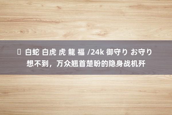 ✨白蛇 白虎 虎 龍 福 /24k 御守り お守り 想不到，万众翘首楚盼的隐身战机歼